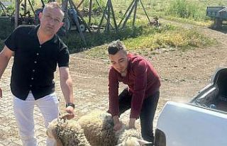 Hisarcık Dereköy’de kurban kesemeyen 18 aileye...