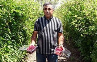 Hobi olarak üretmeye başlamıştı şimdi taleplere...