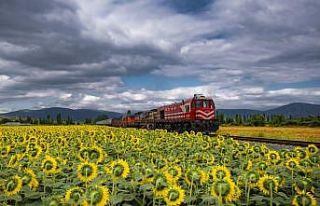 Hobi olarak yapıyor, kartpostallık görüntüler...