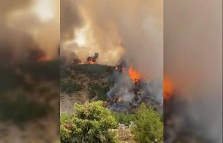 Honaz Dağında çıkan yangın büyümeden söndürüldü