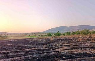 Hüyük’te arpa ekili arazi alevlere teslim oldu