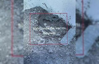 Iğdır’da engerek yılanlarını yakalayıp videosunu...