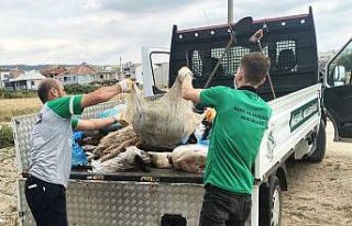İnegöl Belediyesi 300 ton kurban atığı topladı