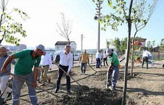 İnegöl’de 600 fidan 15 Temmuz şehitleri için...