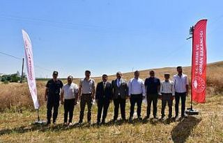 İnönü’de üretimine başlanan kanolada ilk hasat...