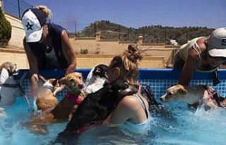 İspanya’da hava sıcaklığı 44.8 dereceye ulaştı