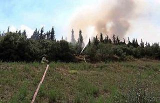 İstanbul’da ağaçlık alanda yangın paniği:...