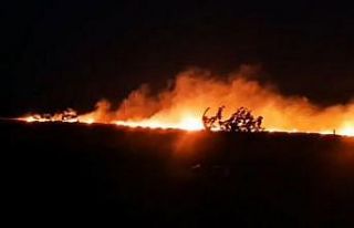 İstanbul’da buğday tarlasında yangın çıktı