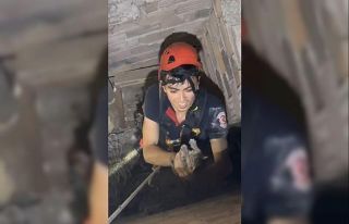 İtfaiye eri iple indi, yavru kedi mahsur kaldığı...