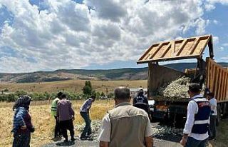 İzinsiz pamuk dikeni toplayan şahsa 244 bin lira...