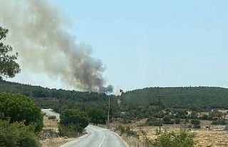 İzmir’de bir orman yangını daha başladı