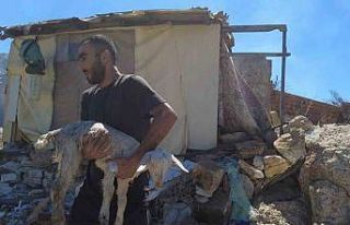 İzmir’de çiftlik yangınında 40 küçükbaş...