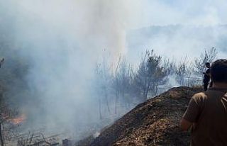 İzmir’de iki orman yangını birden başladı