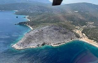 İzmir’de makilik alanda çıkan yangın kontrol...