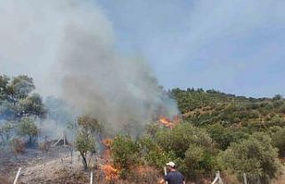 İzmir’de orman yangını başladı, havadan müdahale...