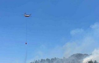 İzmir’de zeytinlikte çıkan yangına havadan ve...
