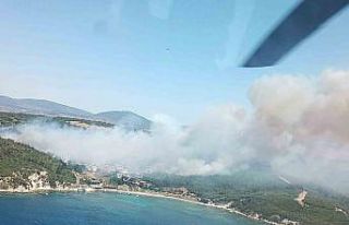 İzmir’deki orman yangınıyla ilgili gözaltına...