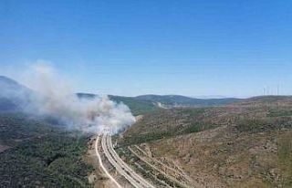 İzmir’deki yangınlardan iyi haber