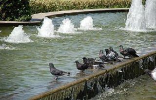 İzmir’e kavurucu sıcaklar geliyor