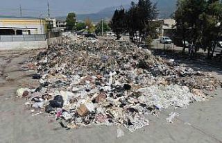 İzmir’in göbeğinde esnafı bezdiren çöp dağları:...