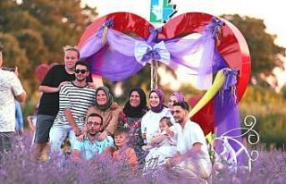 İzmit’in mor bahçesi göz kamaştırıyor