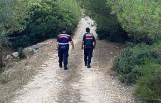 Jandarma ekipleri vatandaşları orman yangına karşı...