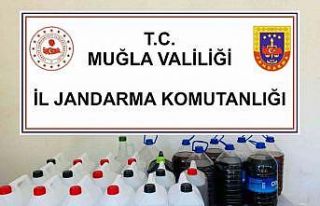 Jandarma ekiplerinden kaçak alkol operasyonu