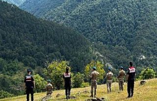 Jandarma orman yangınlarına karşı teyakkuzda