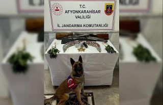 Jandarma silah ve kenevir ele geçirdi