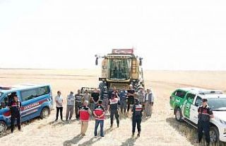 Jandarma tarım arazilerinde anız yangını eğitiminde