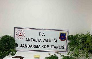 Jandarma uyuşturucu tacirlerine göz açtırmıyor