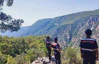 Jandarma ‘Yeşil Vatan’ devriyesinde