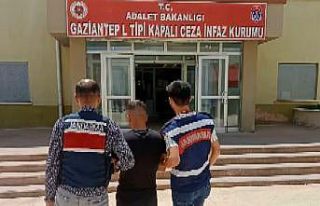 Jandarmadan aranan şahıslara operasyon: 31 gözaltı