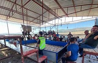 Jandarmadan horoz dövüşüne baskın: 71 kişi gözaltına...