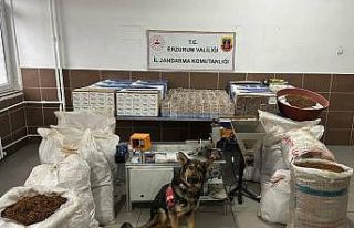 Jandarmadan kaçak sigara operasyonu