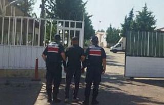 Jandarmadan uyuşturucu ve kaçakçılık operasyonu:...