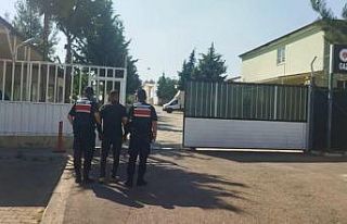 Jandarmanın yakaladığı 19 hırsızlık şüphelisi...