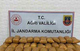 Kaçak göçmenler uyuşturucuyla yakalandı