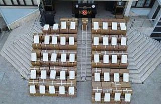 Kaçakçılık operasyonlarında gözaltına alınan...