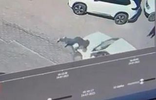 Kadın sürücü, karşıya geçmek için yoldan duran...