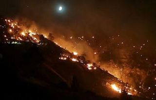 Kahramanmaraş’ta orman yangınına müdahale sürüyor