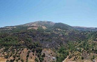 Kahramanmaraş’ta yanan 15 hektar alan dron ile...