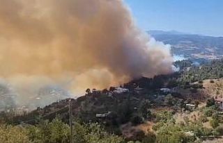 Kahramanmaraş’taki orman yangını evlere sıçradı