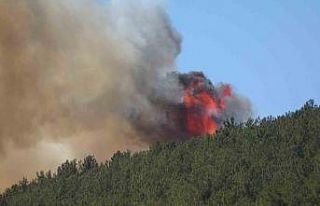 Kahramanmaraş’taki orman yangını söndürüldü