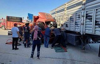 Kamyonetinde sıkışan yaralı sürücü elinde telefonuyla...