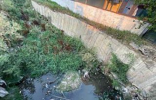 Kapaklı’nın göbeğinde yılan yuvası