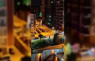 Karabük’te tekme tokatlı kavga