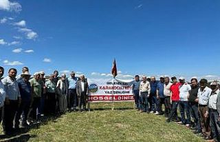 Karakocalılar yaz şenliğinde buluştu