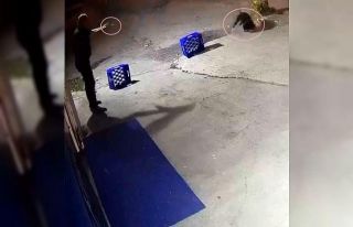 Karasu’da dehşete düşüren olayda iki tutuklama