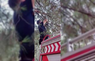 Karganın imdadına itfaiye yetişti
